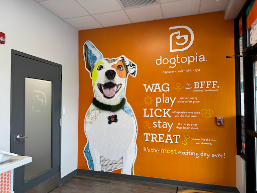 Dogtopia North Overland Park - Image 1