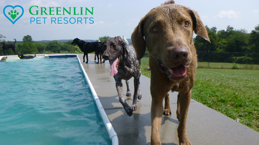 Greenlin Pet Resorts - Image 1