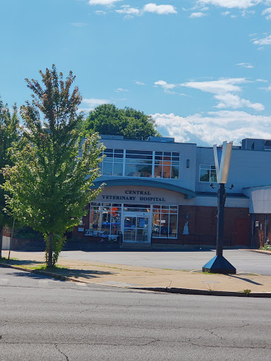 Central Veterinary Hospital - Image 1