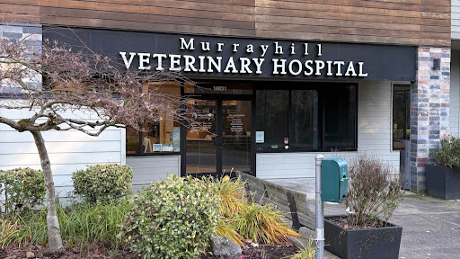 VCA Murrayhill Veterinary Hospital - Image 1