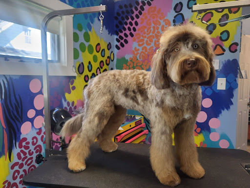 One Dog At A Time Grooming Salon - Image 1