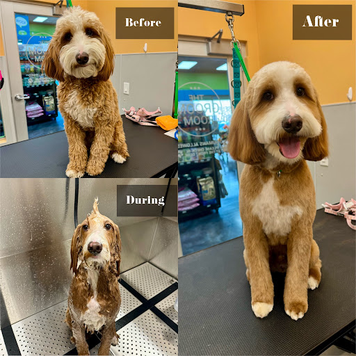 Pet Evolution - Parker, CO - Grooming | Self-Wash | Healthy Food | Mobile Nail Trim - Image 1