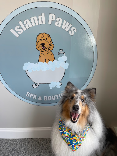 Island Paws Spa & Boutique - Image 1