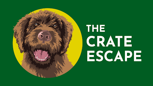 The Crate Escape - Image 1