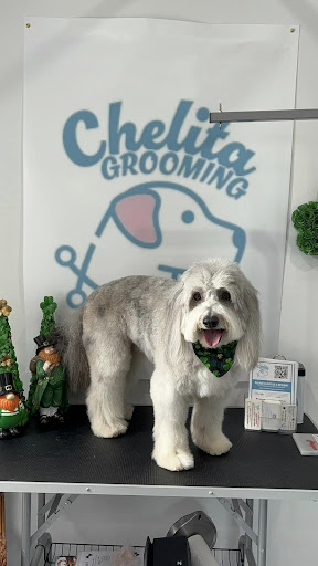 Chelita's Grooming - Image 1