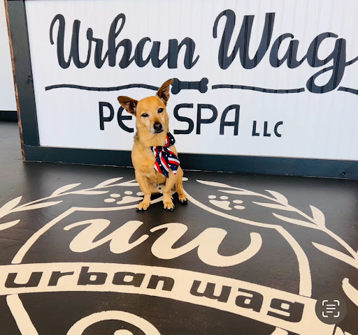 Urban Wag Pet Spa - Image 1