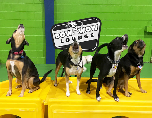 Bow Wow Lounge - Image 1