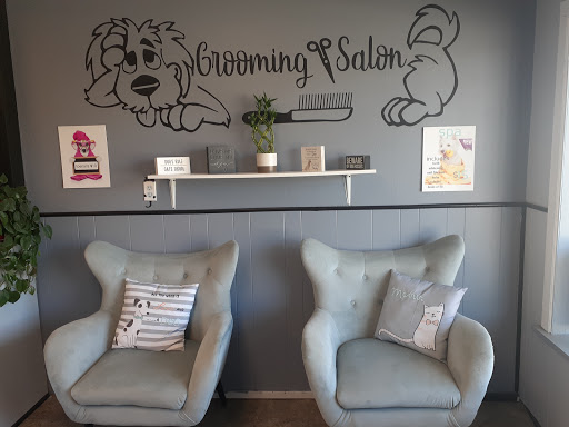 Luna's Dog Grooming Salon - Image 1