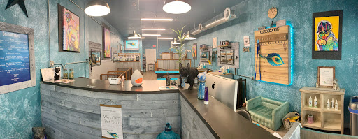 Phoenix Pet Salon - Image 1