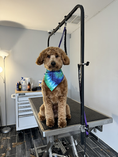 The Dog Barn and Groom - Image 1