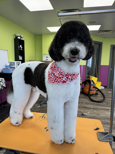 Serenity Pet Spa - East - Image 1