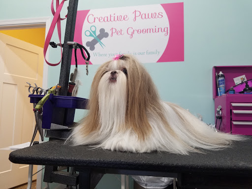 Creative Paws Pet Grooming - Image 1