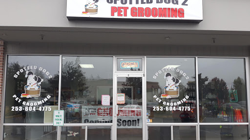 Spotted Dog Pet Grooming - Image 1