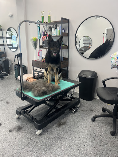 The Chic Canine Grooming Studio - Image 1