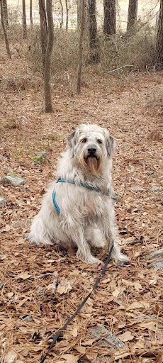 Happy Paws Grooming - Image 1