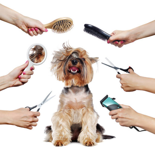 Tori's Pampered Pets - Image 1