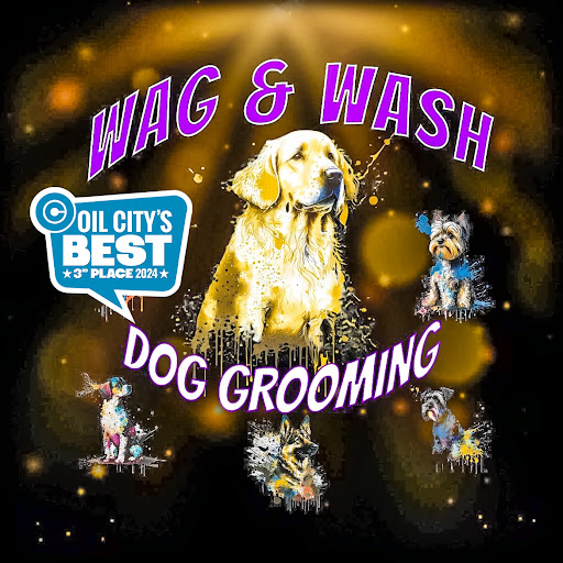 Wag & Wash Dog Grooming - Image 1