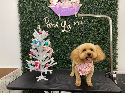 Pooch la vie Dog Grooming - Image 1