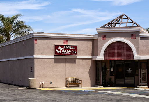 Animal Hospital of Huntington Beach - Image 1