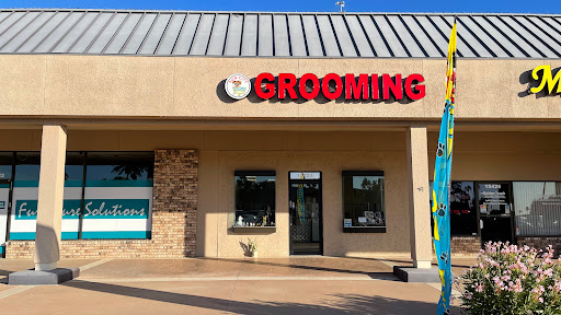 Glamour and Sunshine Pet Grooming - Image 1