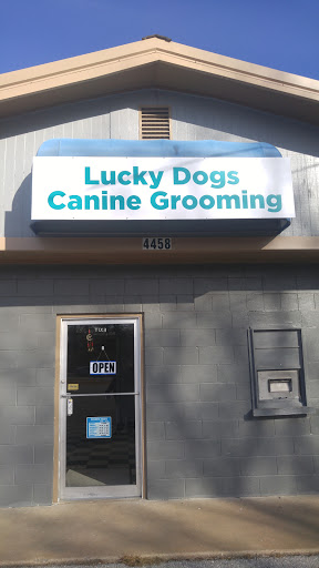 Lucky Dogs Canine Grooming - Image 1