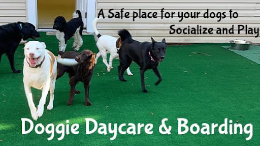 The Bark Park - Doggie Daycare • Boarding • Grooming - Image 1