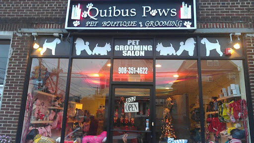 Quibus Paws Pet Grooming Salon - Image 1