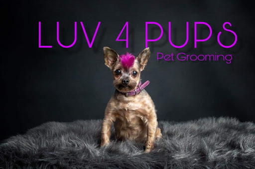 LUV 4 PUPS Pet Grooming - Image 1