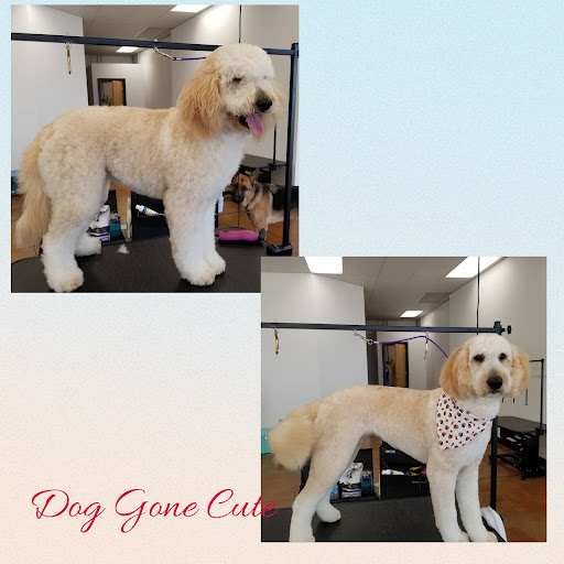 Dog Gone Cute Grooming - Image 1