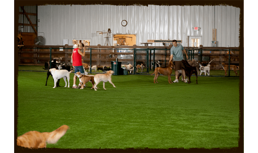 The Pet Ranch - Image 1