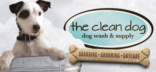 The Clean Dog - Image 1