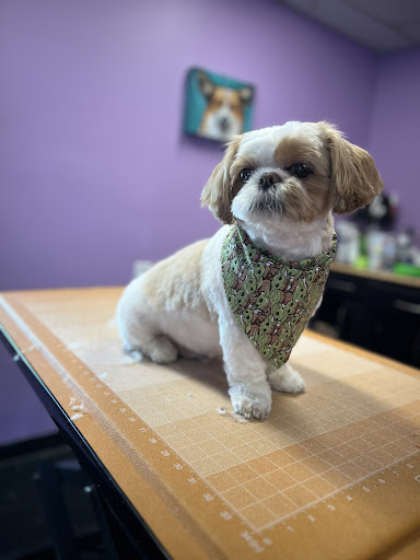 Becca’s Pooch Parlor - Image 1