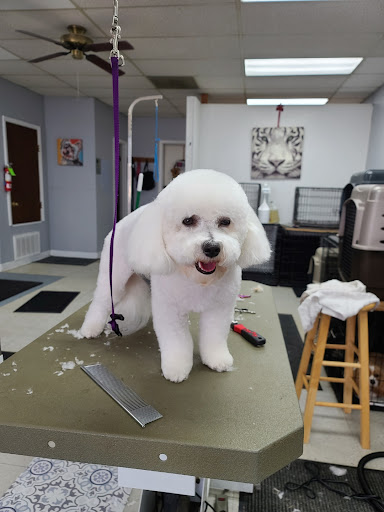 Puppy Paws Grooming Salon - Image 1