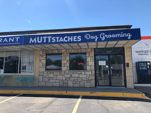 Muttstaches Dog Grooming - Image 1