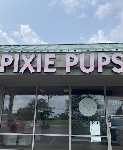 Pixie Pups - Image 1