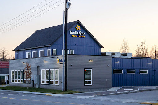 North Star Animal Hospital - Image 1