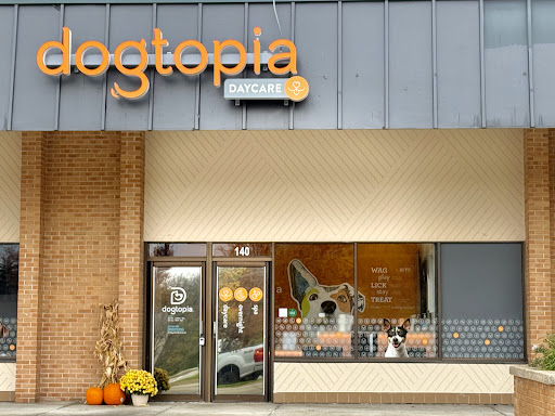 Dogtopia of Four Seasons - Chesterfield - Image 1