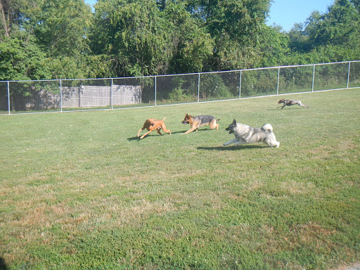 Airy Pines Boarding Kennel - Image 1