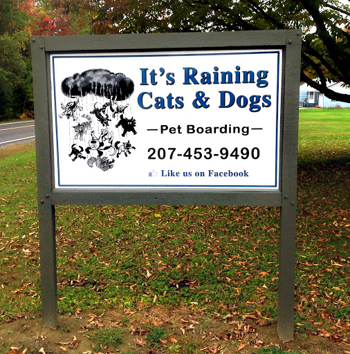 Its Raining Cats & Dogs - Image 1