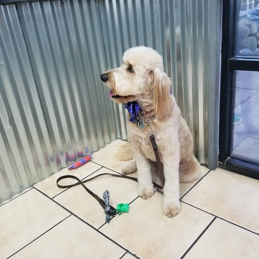 Bark Place Grooming - Image 1