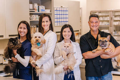 Alii Animal Hospital & Resort - Image 1