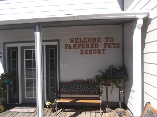 Pampered Pets Resort, Inc. - Image 1