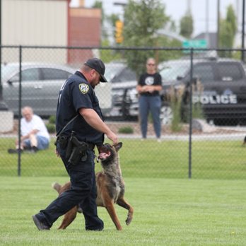 B-Hyve K-9 LLC Dog Training, Boarding and Daycare - Image 1