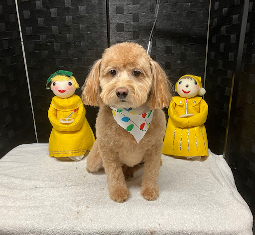 Dog Daze Grooming Salon - Image 1