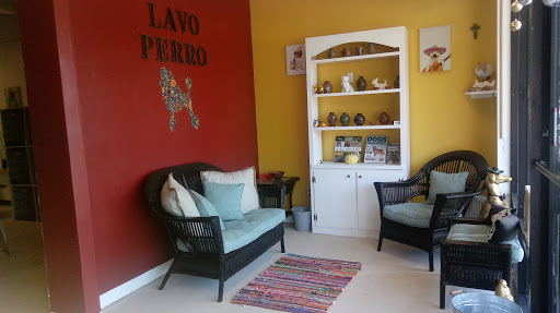 Lavo perro - Image 1