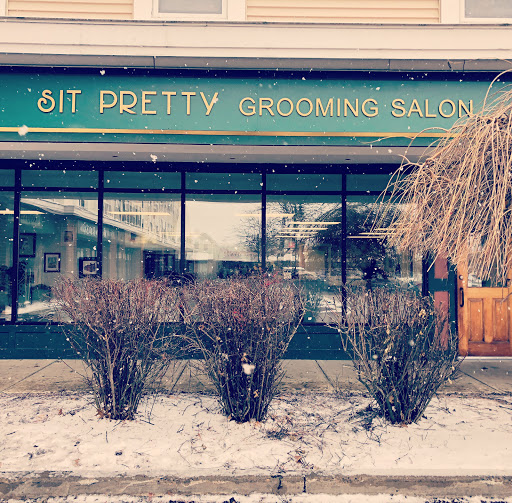 Sit Pretty Grooming Salon & Self-Service Pet Wash - Image 1