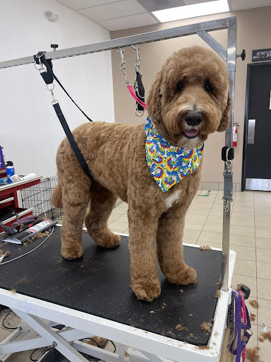 BarkHaus Dog Grooming - Image 1