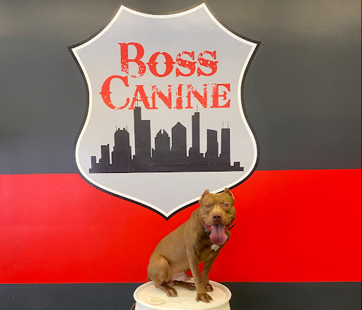 Boss Canine LLC - Image 1