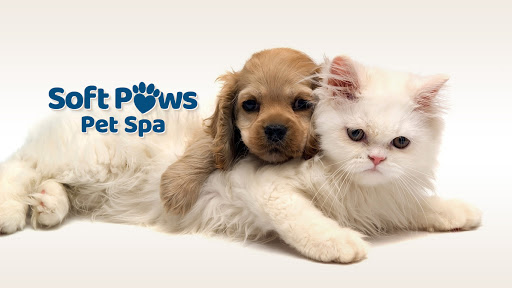 Soft Paws Pet Spa - Image 1