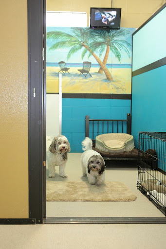 Chisholm Creek Pet Resort - Image 1